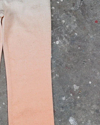 Cavalli Gradient Pants