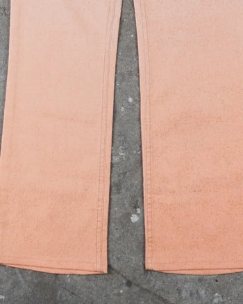 Cavalli Gradient Pants