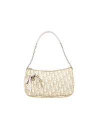 Dior Romantique Trotter Monogram Bag