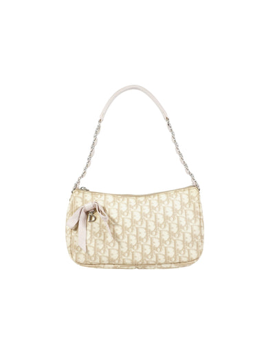 Dior Romantique Trotter Monogram Bag